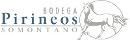 Logo: Bodega Pirineos
